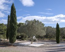 Jardin monastique médiéval (ou jardin des senteurs)